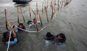 KSAL Sebut Pagar Laut di Tangerang Belum Dibongkar Tersisa 8 Km