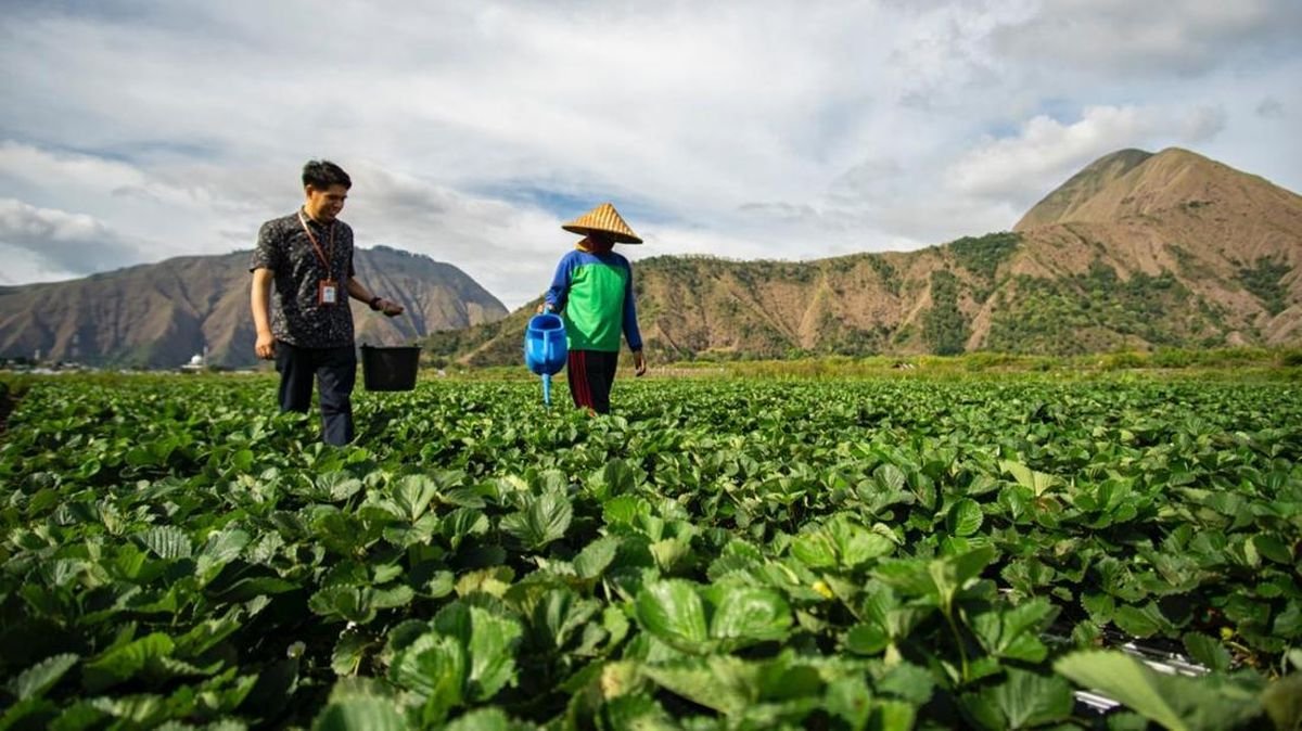 BRI Salurkan KUR Rp27,72 Triliun dalam 2 Bulan, Wujud Dukung UMKM