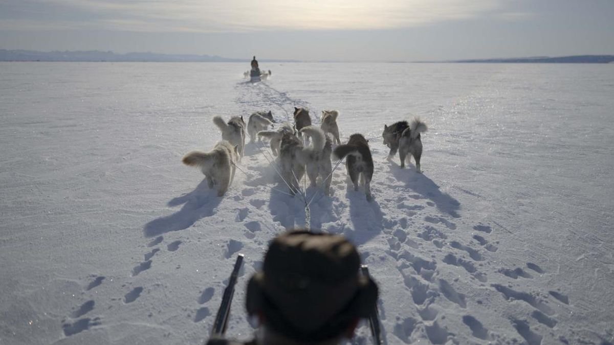 Kenapa Greenland Ogah Gabung dengan Denmark dan AS?