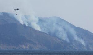 Kebakaran Hutan di Jepang, 2.000 Personel Damkar Dikerahkan