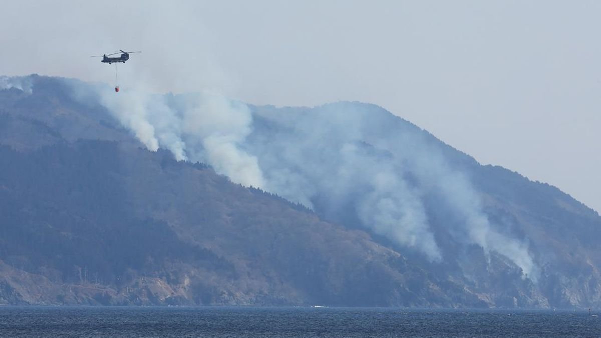 Kebakaran Hutan di Jepang, 2.000 Personel Damkar Dikerahkan