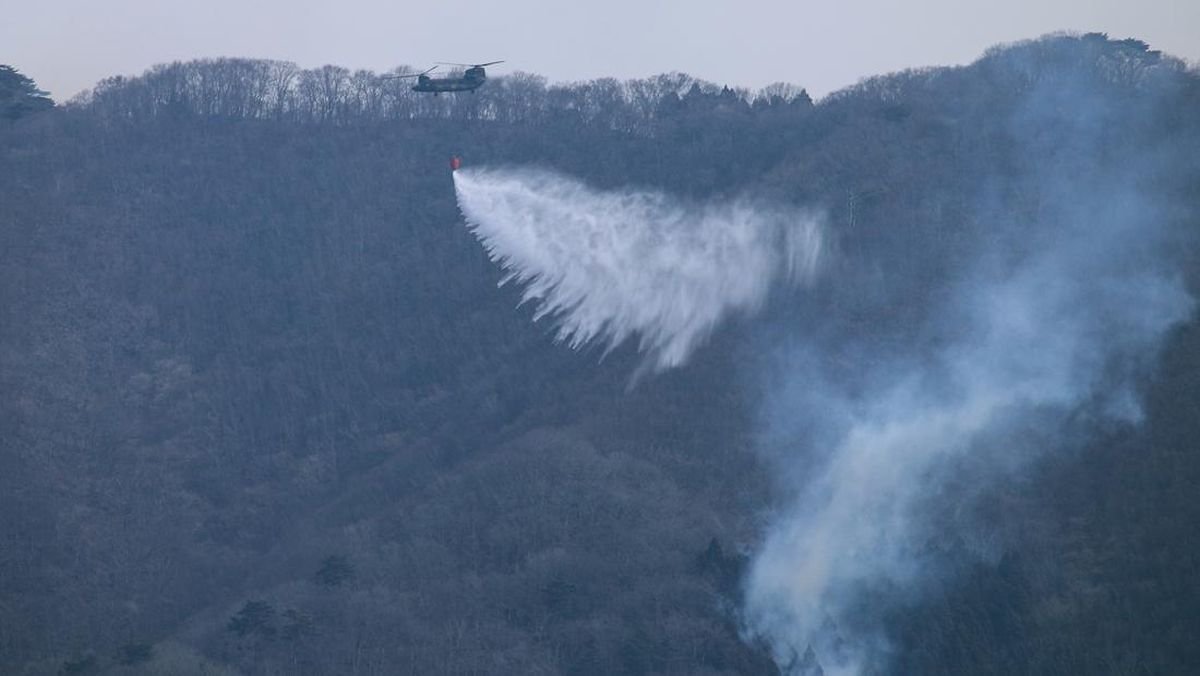 Kebakaran Hutan Terparah di Jepang Meluas, 4 Ribu Warga Dievakuasi