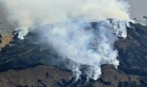 Kebakaran Hutan di Korea Selatan, 4 Orang Tewas