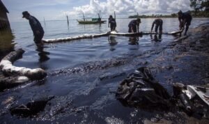 Minyak Hitam Cemari Pantai Bintan Kepri, Wisatawan-Nelayan Teriak