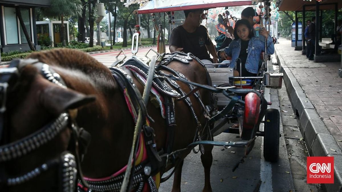 Menhub Sebut Pemda Jabar Usul Delman, Becak Cs Dilarang Saat Lebaran