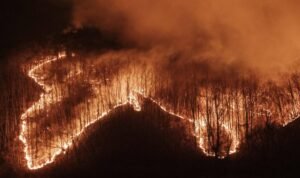 Penampakan Kebakaran Hutan di Korsel Makin Ganas