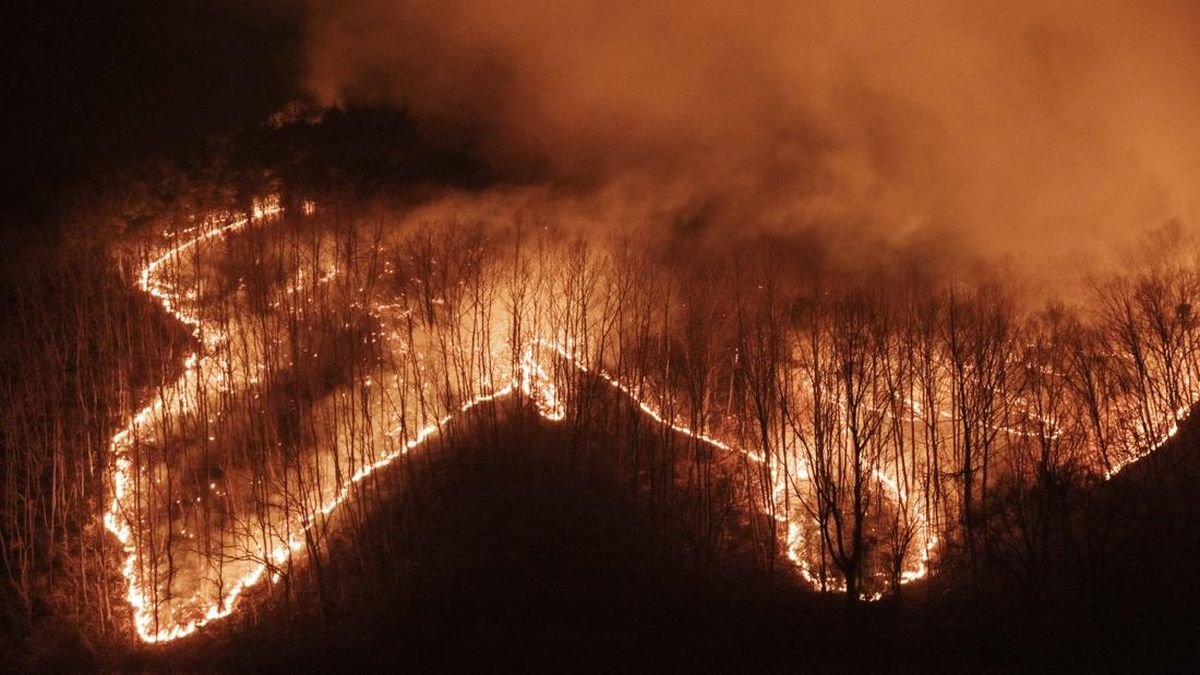 Penampakan Kebakaran Hutan di Korsel Makin Ganas