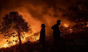 Kebakaran Hutan, Korea Selatan Umumkan Bencana Nasional