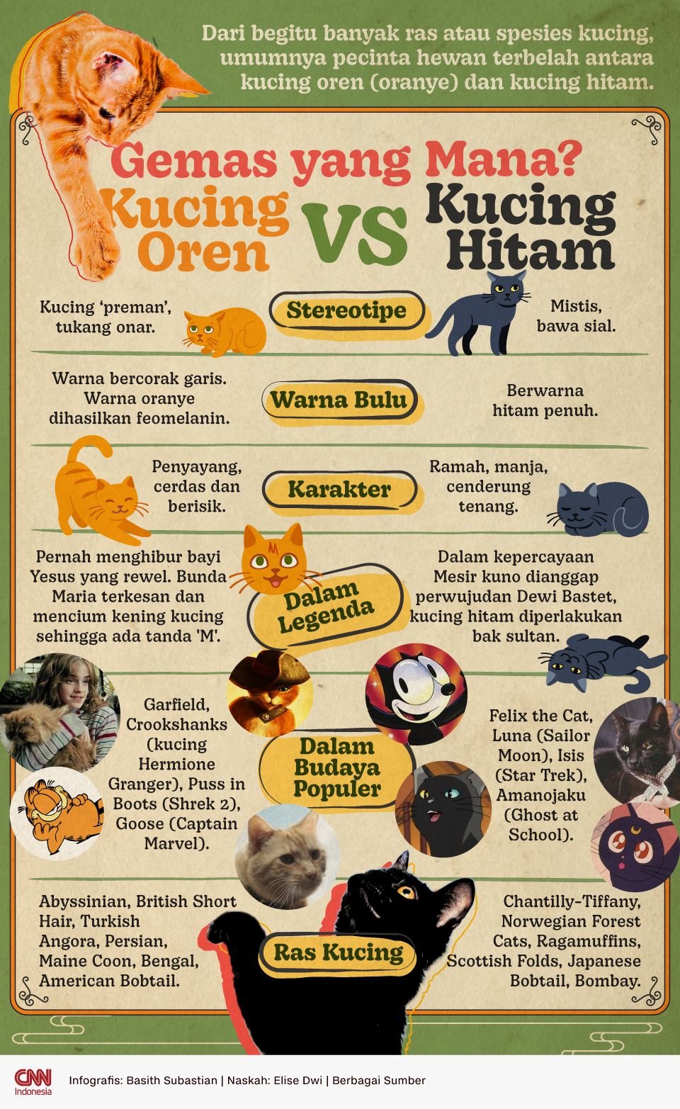 Infografis - Kucing Oren Vs Kucing Hitam, Gemas yang Mana